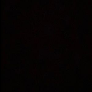 Meet your Posher, Lee